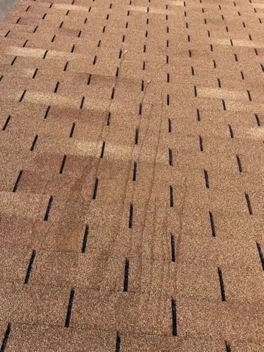 Water beading on a Roof Protect treated shingle roof