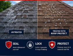 Water beading on a treated shingle next to an untreated shingle